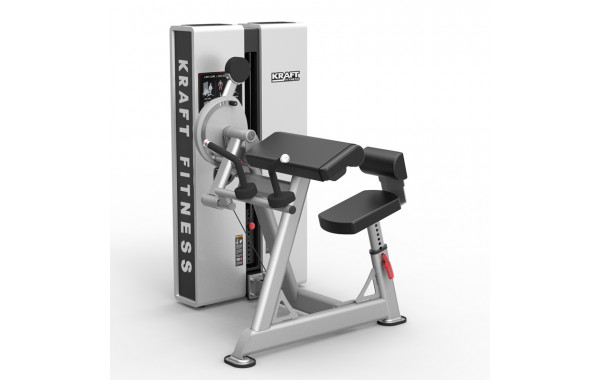 Бицепс/Трицепс сидя Kraft Fitness EXACT KFDXBT 600_380