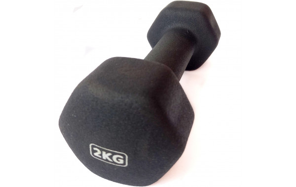 Гантель неопреновая 2,0 кг (черная) Sportex HKDB118-2.0 600_380