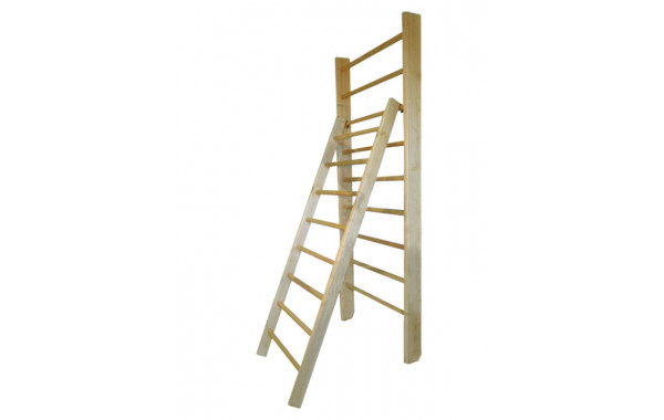 Лестница для гимнастической стенки с зацепами Glav длина 1800 мм 04.213-1800 600_380