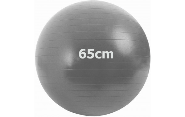 Мяч гимнастический Anti-Burstl d65 см Sportex GMA-65-A серый 600_380