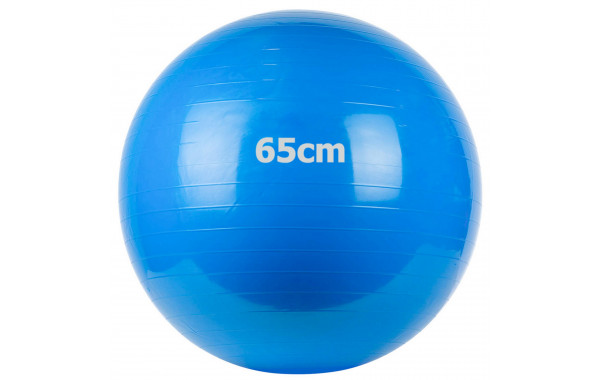 Мяч гимнастический Gum Ball d65 см Sportex GM-65-2 синий 600_380