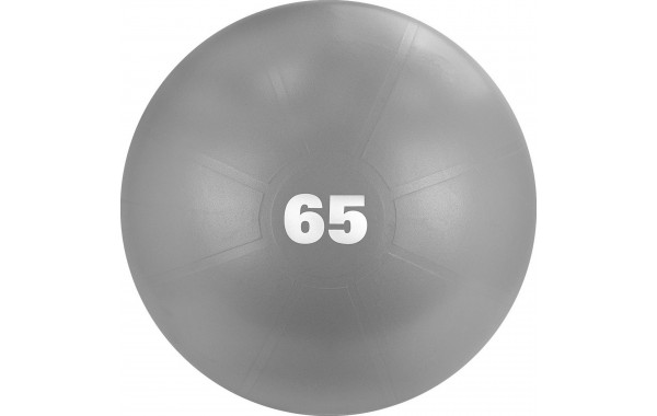 Мяч гимнастический d65 см Torres с насосом AL122165GR серый 600_380