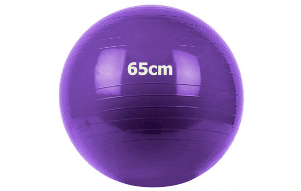 Мяч гимнастический Gum Ball d65 см Sportex GM-65-4 фиолетовый 600_380