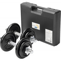 Набор гантелей разборных Sundays Fitness IR92052 (20 кг)