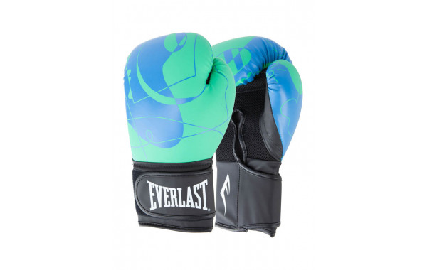 Перчатки тренировочные 16oz Everlast Spark P00002805 синий\зеленый 600_380