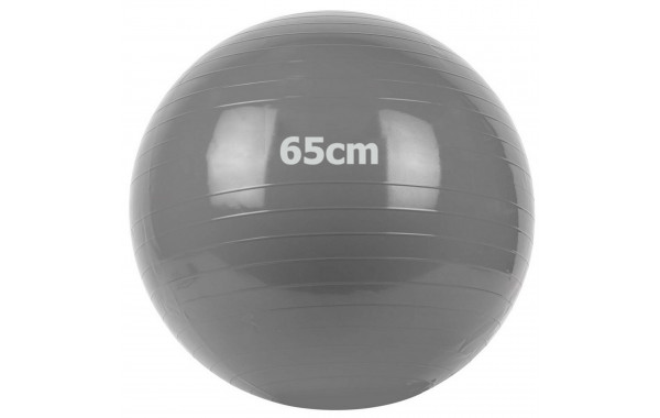 Мяч гимнастический Gum Ball d65 см Sportex GM-65-1 серый 600_380