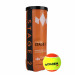 Мяч теннисный детский Diadem Stage 2 Orange Ball BALL-CASE-OR оранжевый 75_75