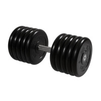 Гантель Профи с вращающейся ручкой, 51 кг MB Barbell MB-FdbM-B51