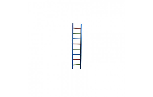 Лестница навесная\ наклонная с крючками, 228 см Ellada М1130 600_380