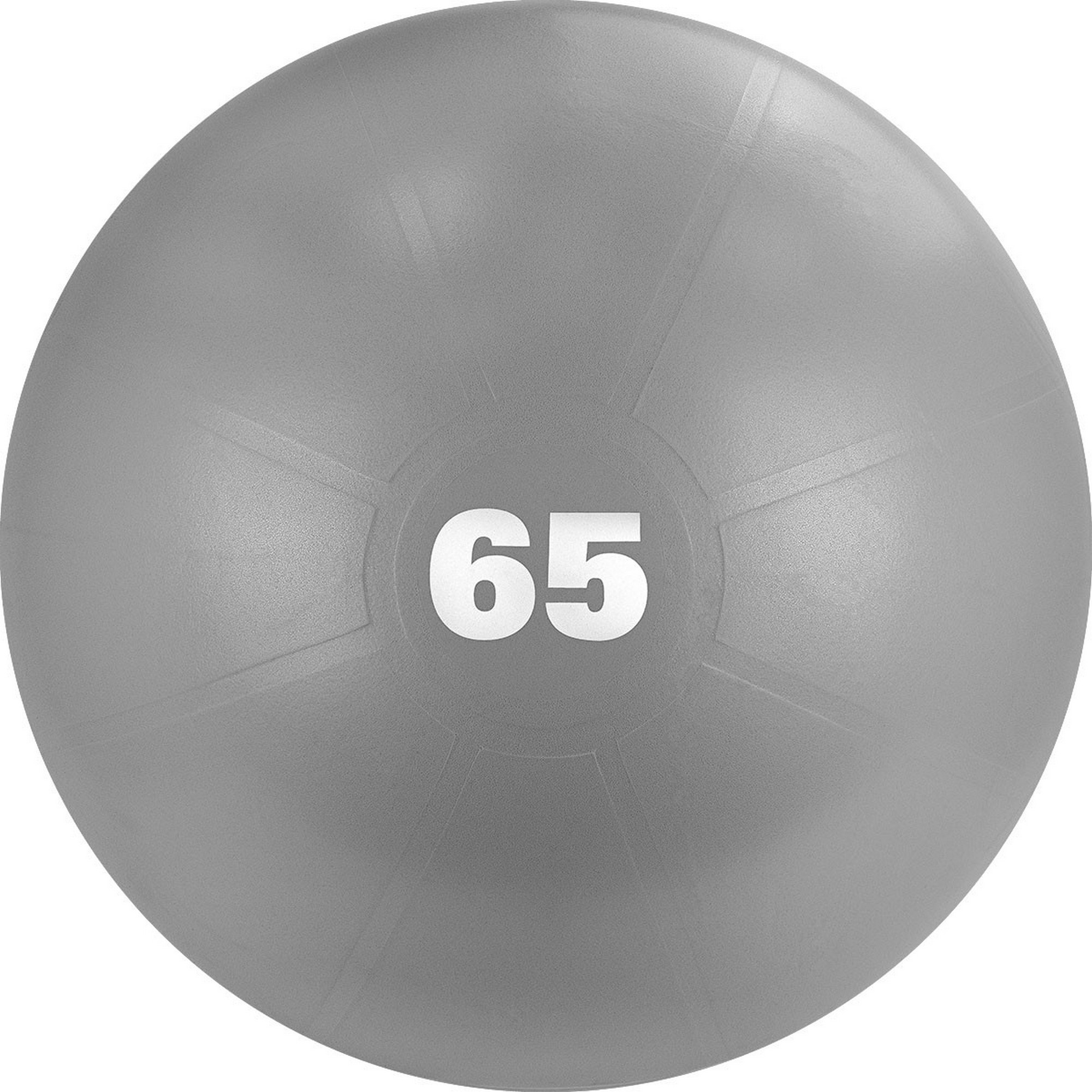 Мяч гимнастический d65 см Torres с насосом AL122165GR серый 2000_2000