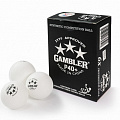Мячи для настольного тенниса Gambler P40+ BALL - 6 PACK GP40B6 120_120