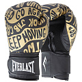 Перчатки тренировочные 14oz Everlast Spark P00002796 черный\золотой 120_120