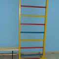 Стенка гимнастическая шведская ФСИ 80х230 cм, перекладины 3 -х цветов 9391 120_120