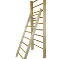 Лестница для гимнастической стенки с зацепами Glav длина 1800 мм 04.213-1800 120_120